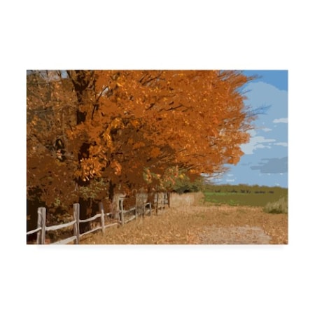 Monte Nagler 'Fall Color Foliage' Canvas Art,30x47